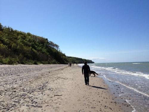 Image 15