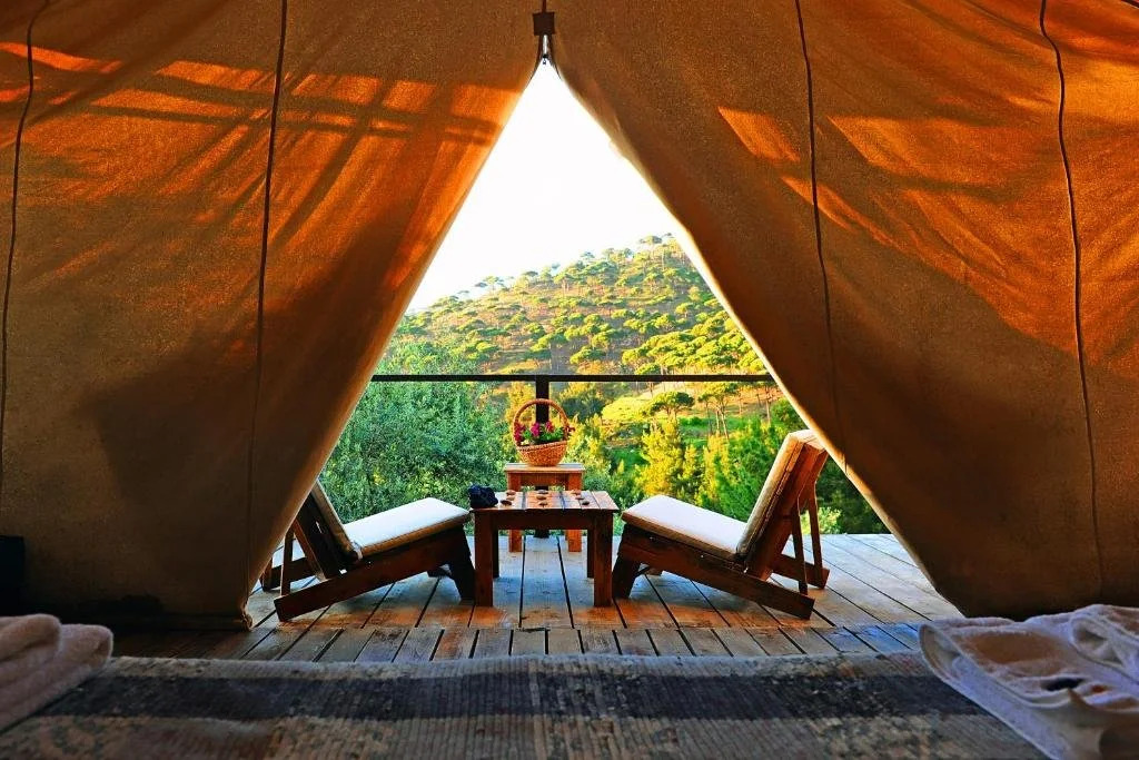 Blue Jay Valley - фото 14