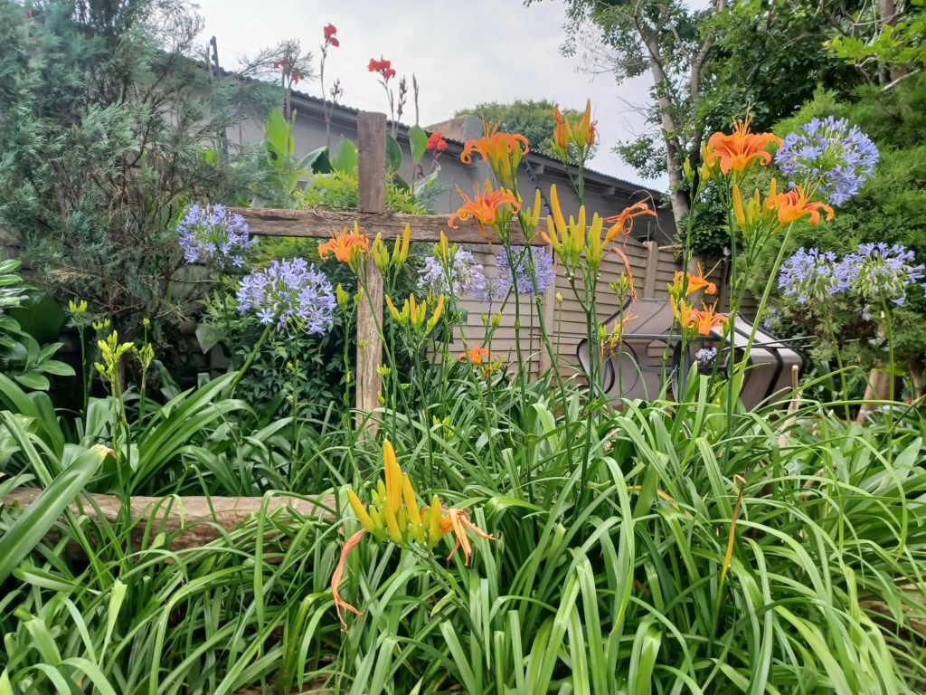 Flutterby Guesthouse