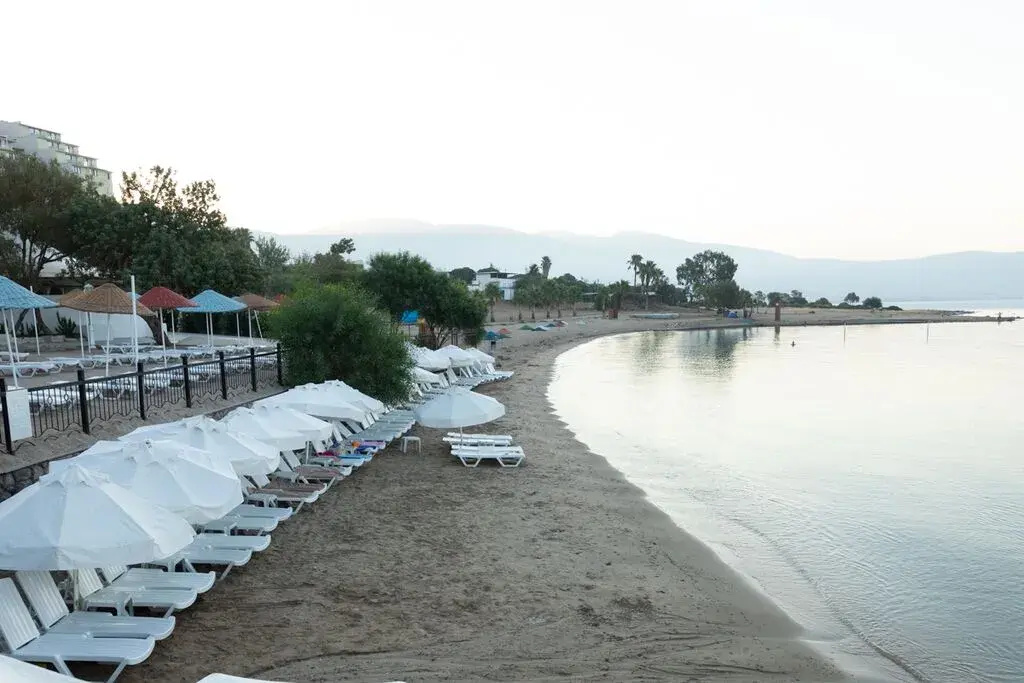 Beach & Waterfront