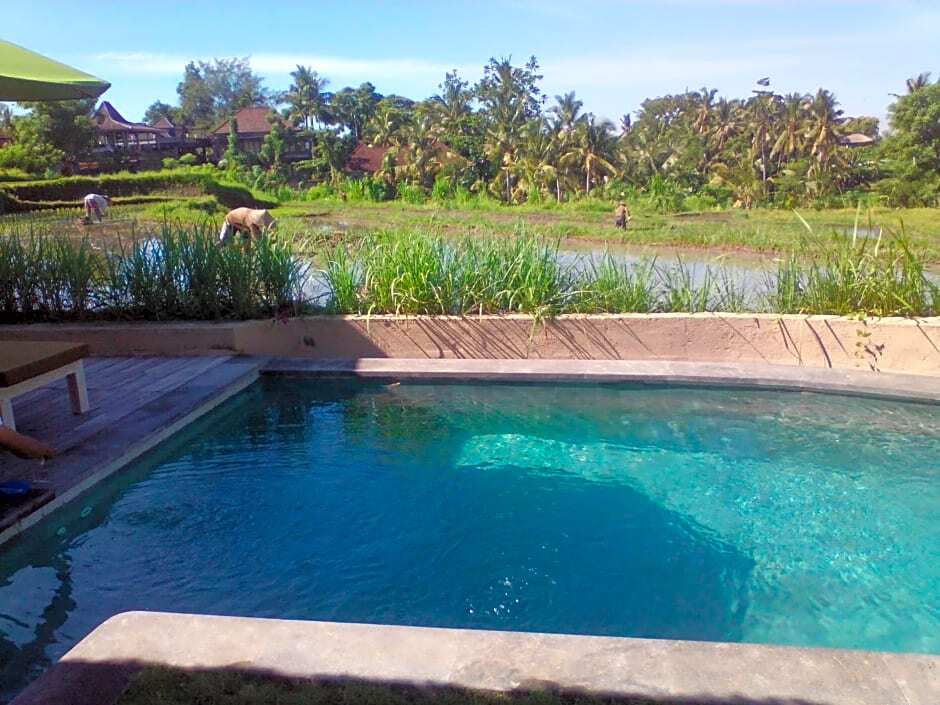 Atta Mesari Villas