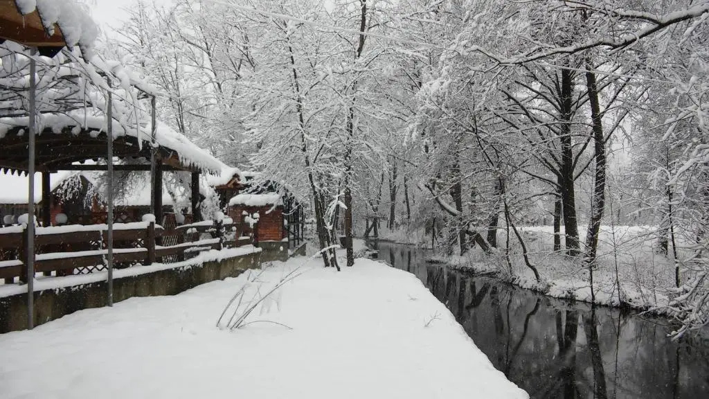 Zabava Guest House