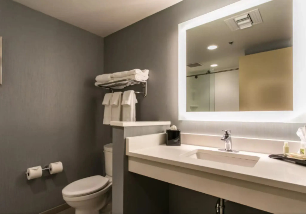 Holiday Inn Hotel & Suites Chattanooga Downtown by IHG - Général
