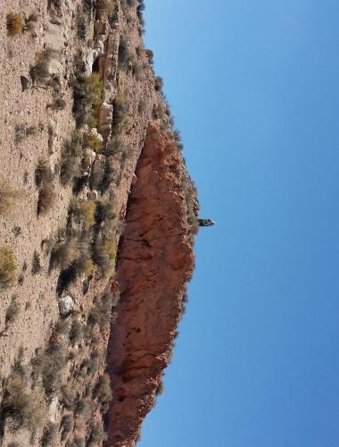 Image 14