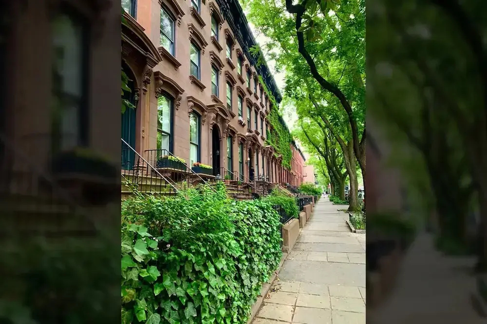 Adelphi I 3BR Ft Greene w Backyard Patio Porch