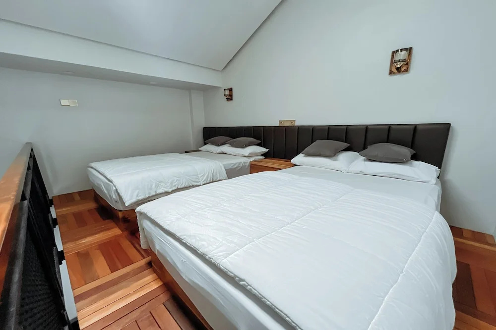 Standard Double Family room with balcony and with mountain view (twin beds)
