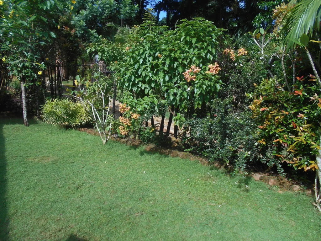 Sapphire Holiday Resort - Général