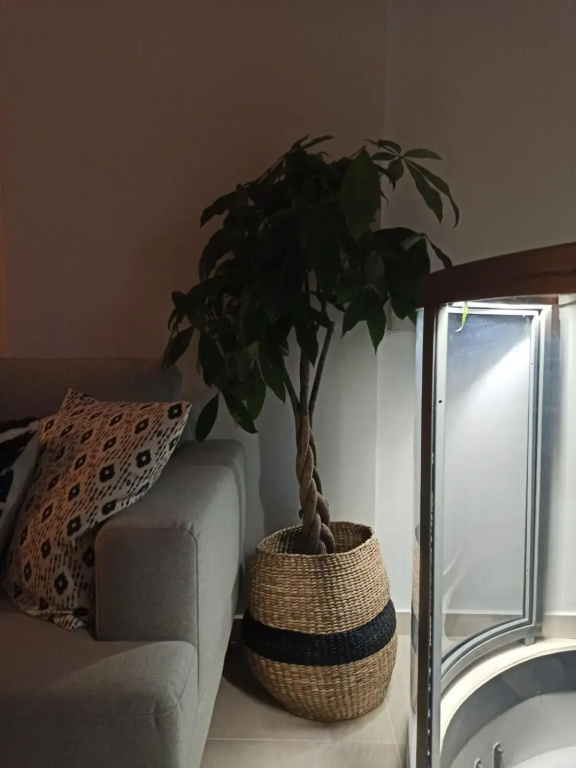 Hotel photo 40