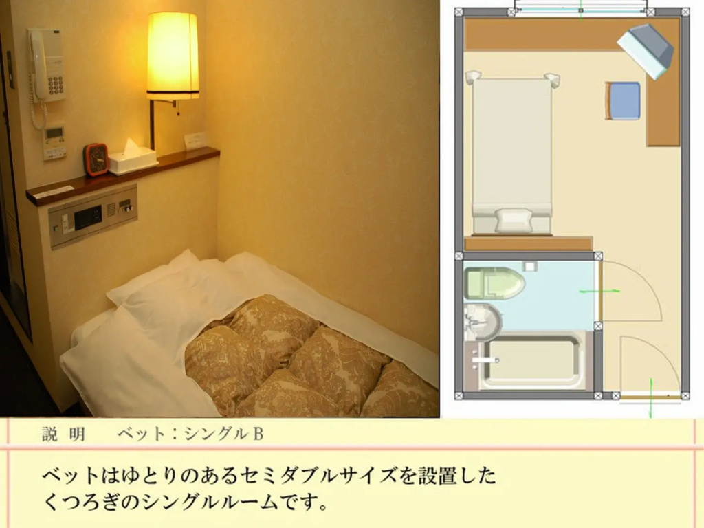 Standard Single room