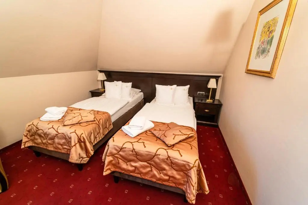 Standard Double room (full double bed)