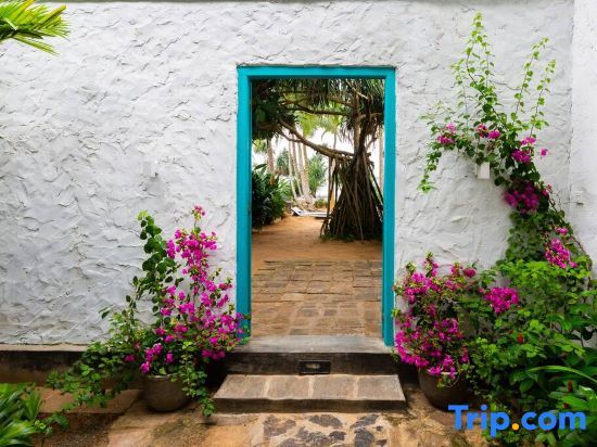 Taru Villas - 906