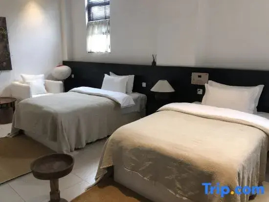 Standard Double room (twin beds)