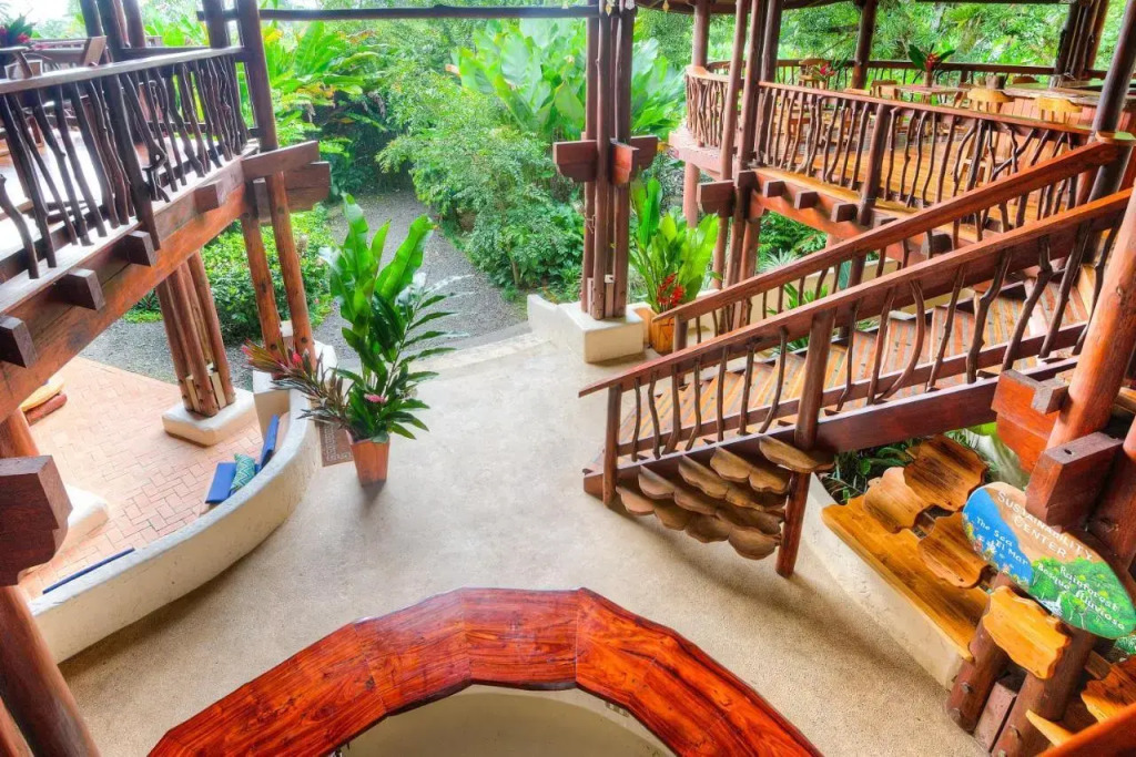 Playa Nicuesa Rainforest Eco Sanctuary - фото 17