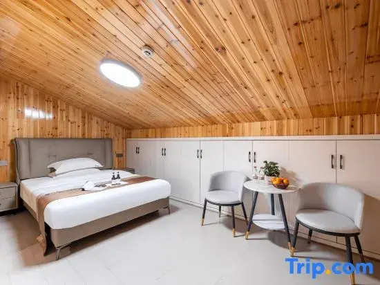 Standard Double Penthouse room (full double bed)