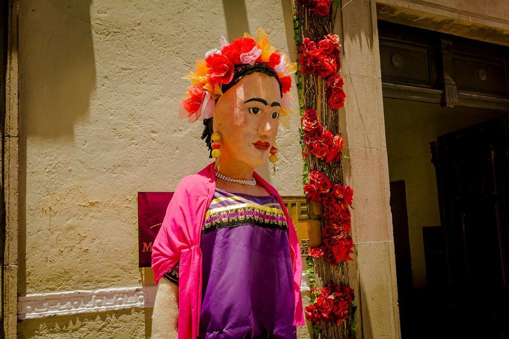 Image 15