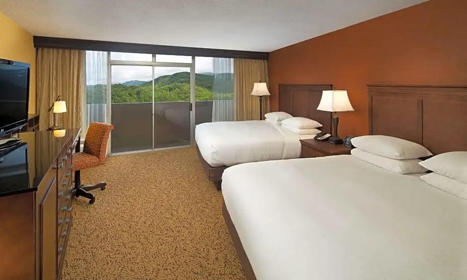 The Park Vista - a DoubleTree by Hilton Hotel - Gatlinburg - Chambres