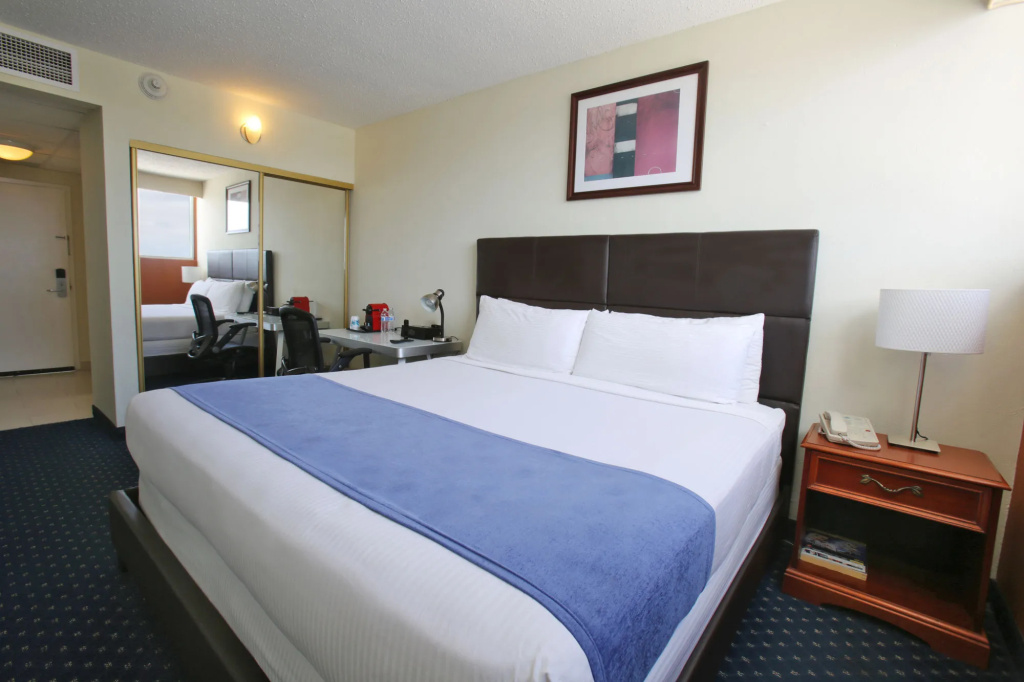 San Juan Airport Hotel - Général