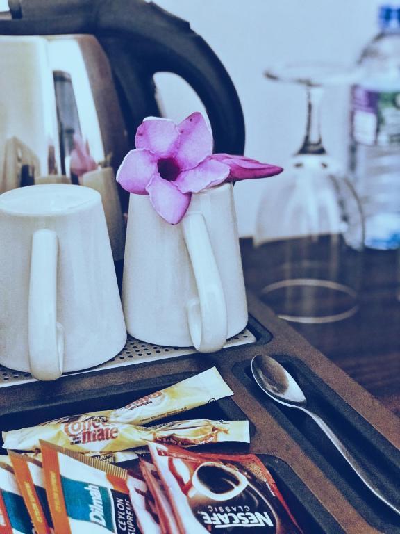 Nature Trails Boutique Hotel