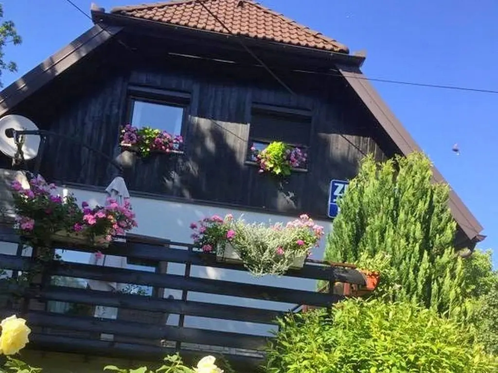 House Sankovic - Général
