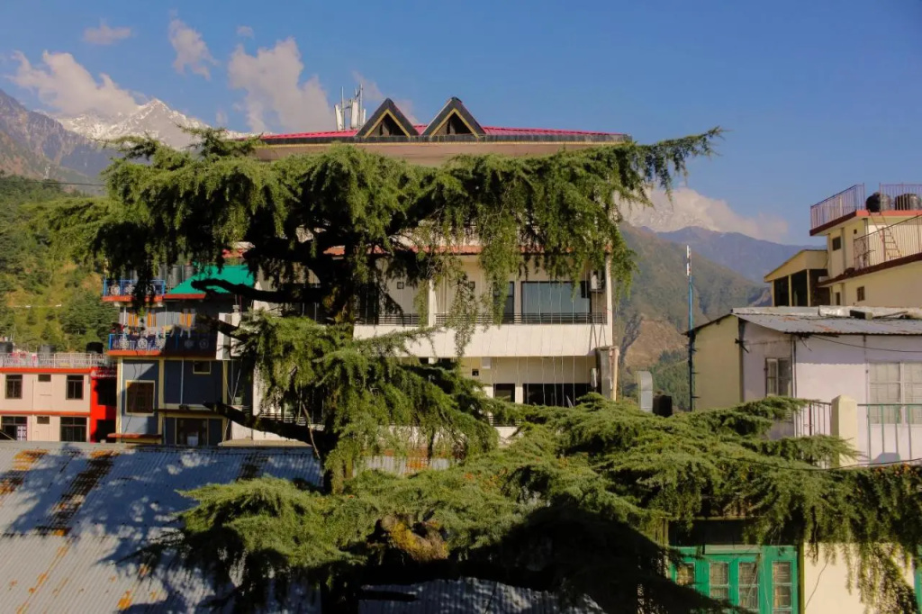 M Hotel & Restaurant