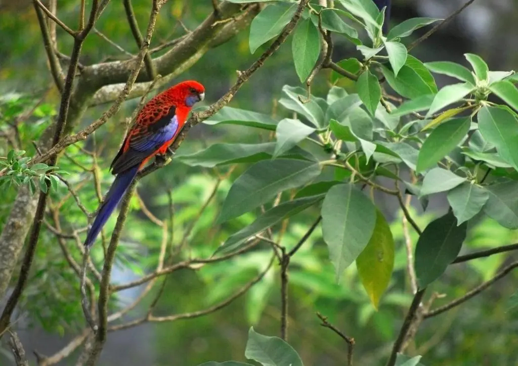 雙人房四人別墅，附設陽台