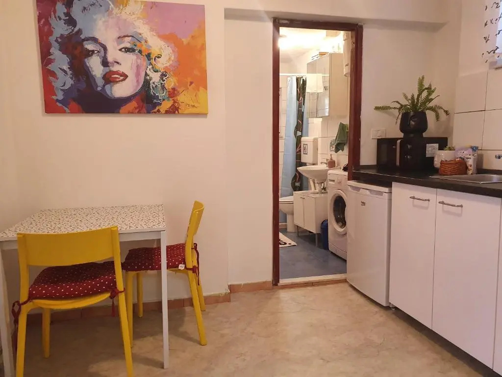 Basement Apartment