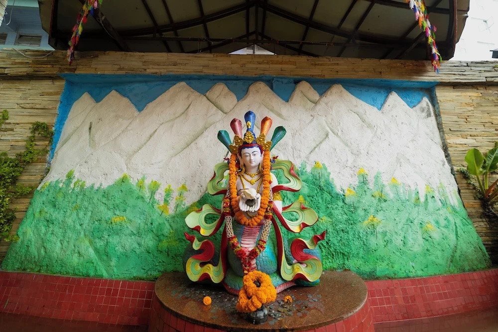 Yangthang Heritage - Général
