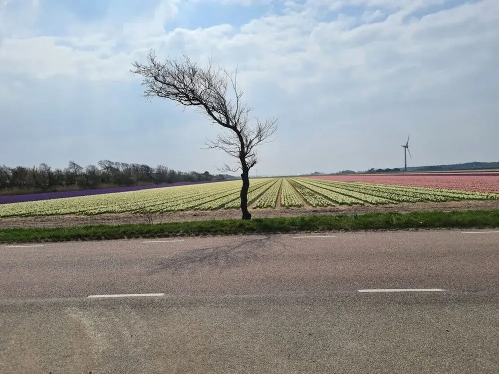 Vision Comfortable Holiday Residence - фото 15