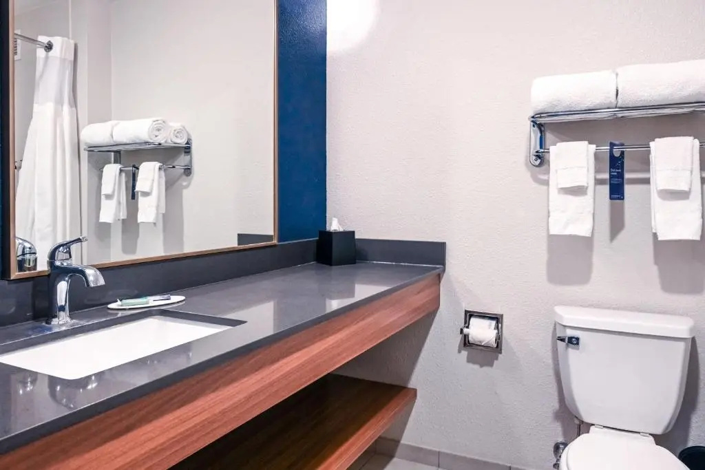 Fairfield Inn & Suites by Marriott Indianapolis Noblesville - Chambres