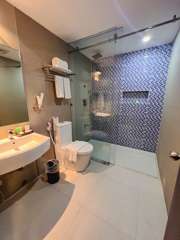 Deluxe Double room (twin beds)