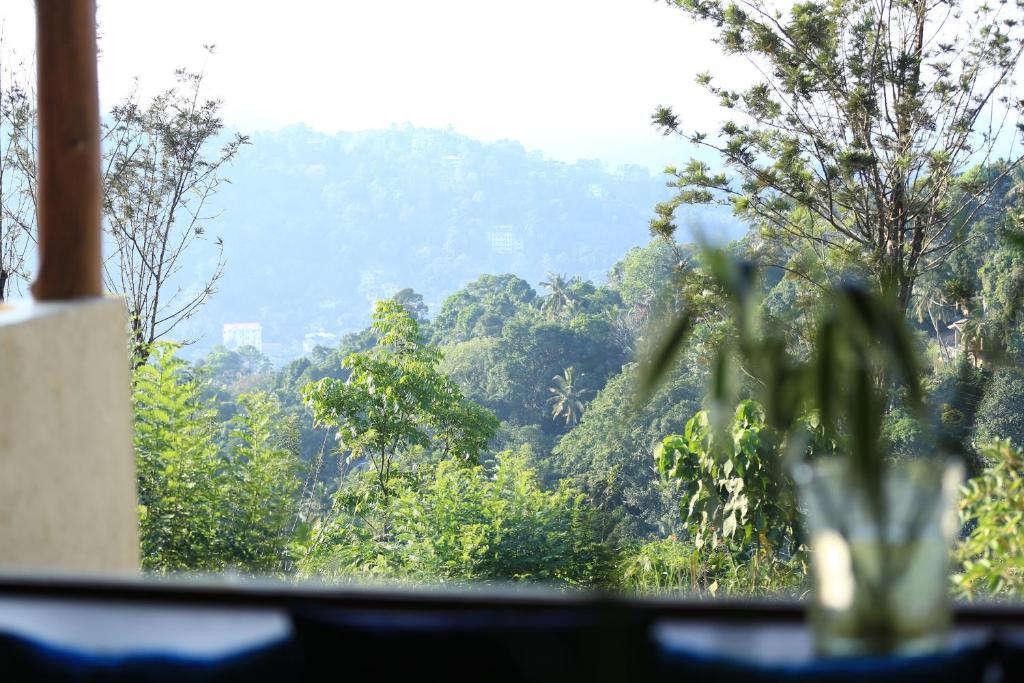 Villa Shenandoah
