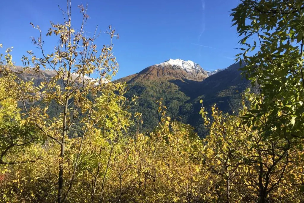 Serre Chevalier 1200