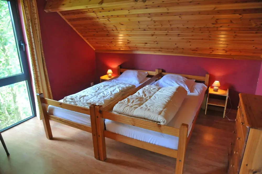 Bouton d'Or - фото 3