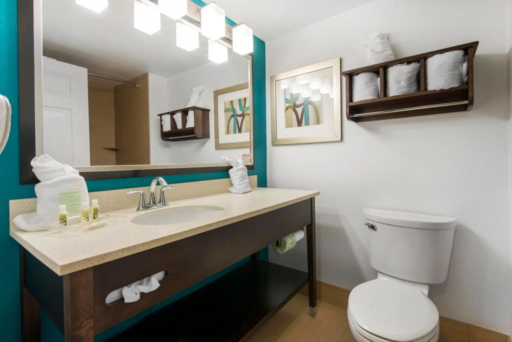 Holiday Inn Savannah S - I-95 Gateway by IHG - Chambres