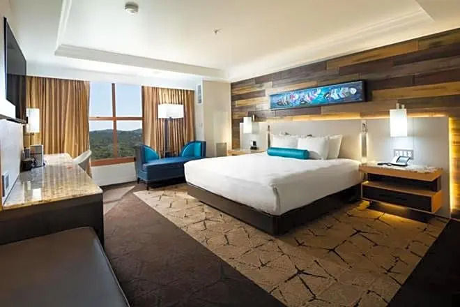 豪華四人房，視野客房，配有雙人床