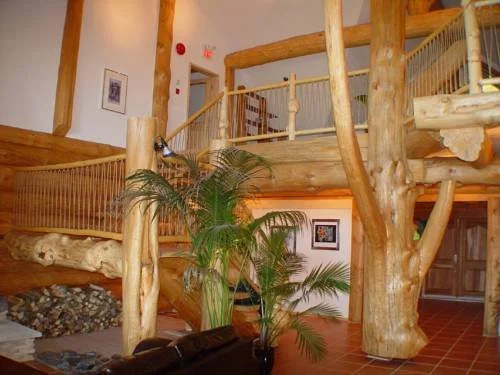 Williston Lake Resort - Général