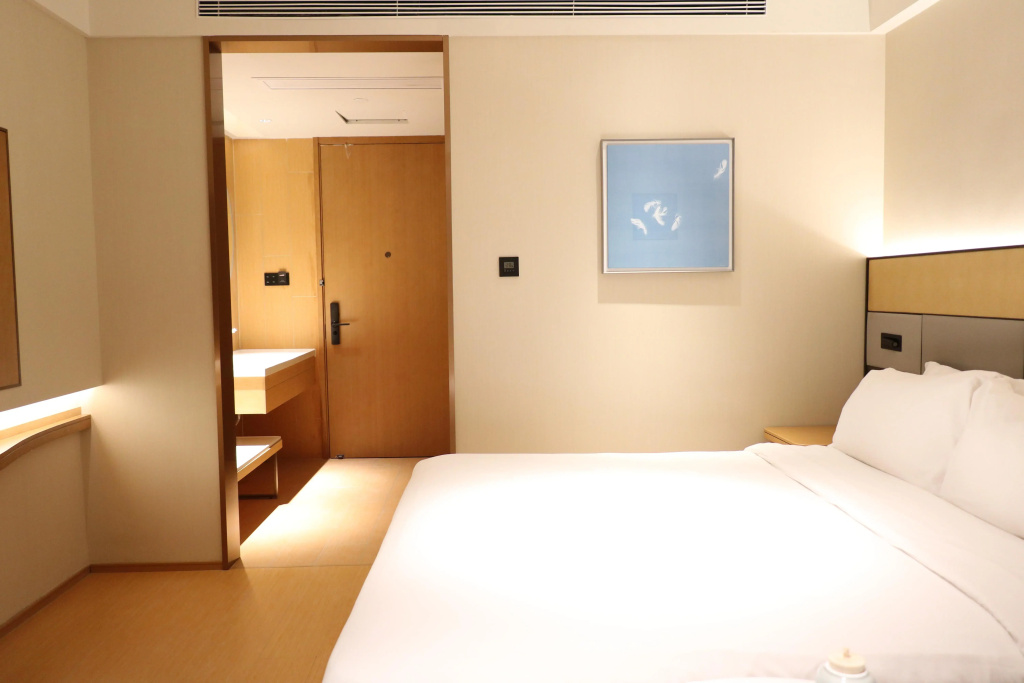 Ji Hotel Shenzhen North Railway Station - Général