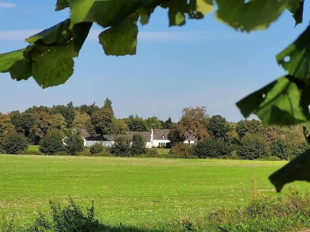 B&B De Grote Waaij