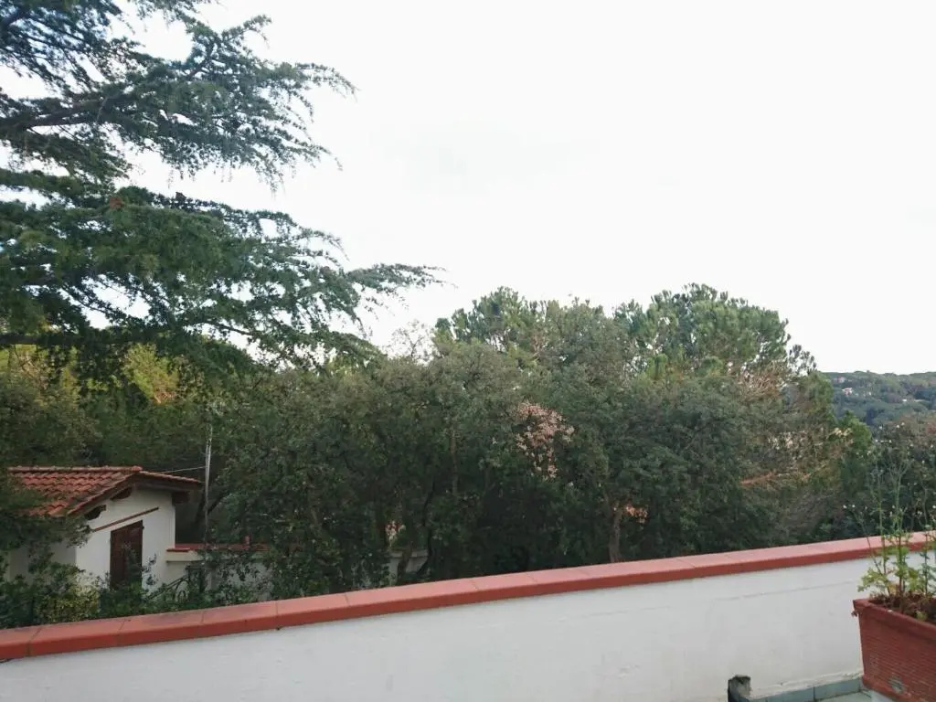 Studio