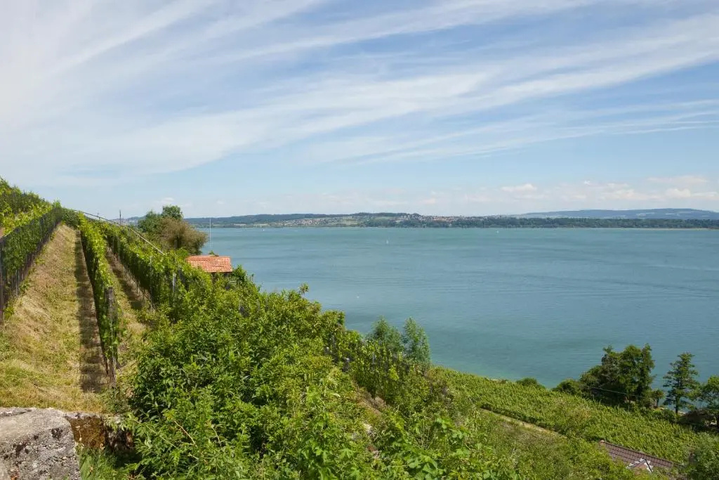 Alpes et Lac - Général