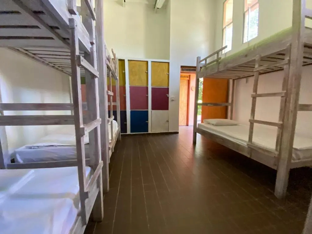 Bed in Dorm