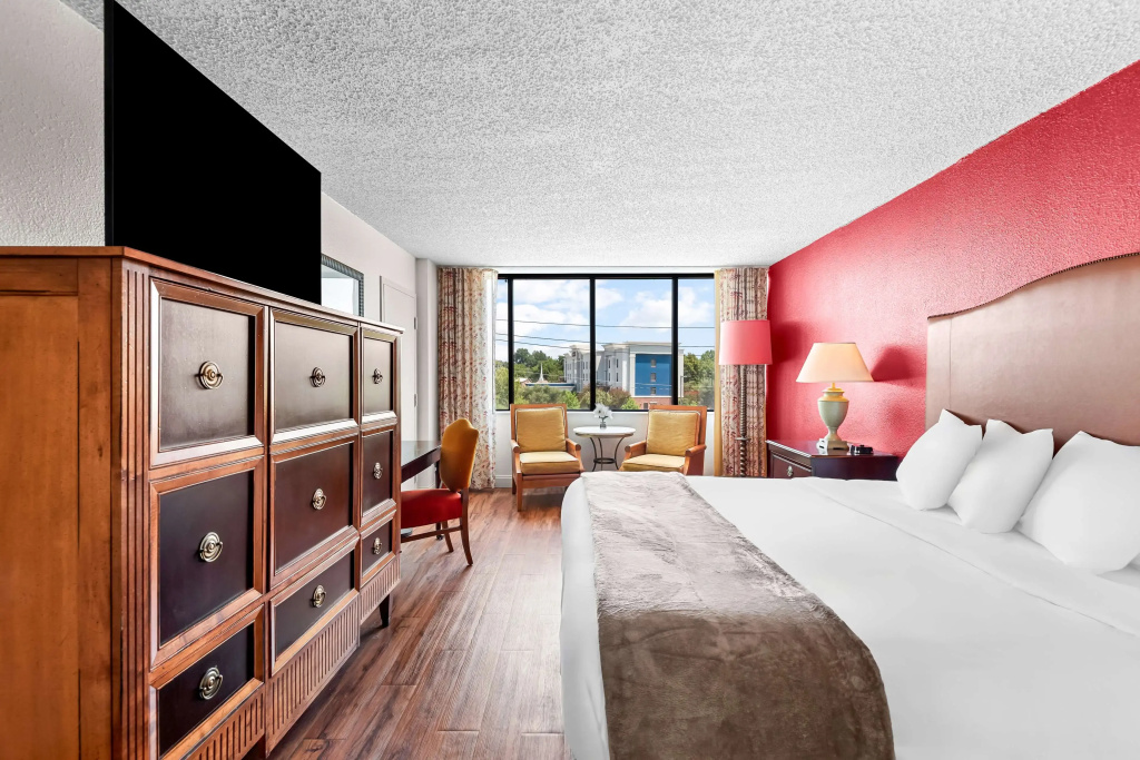 Standard Double room (full double bed)