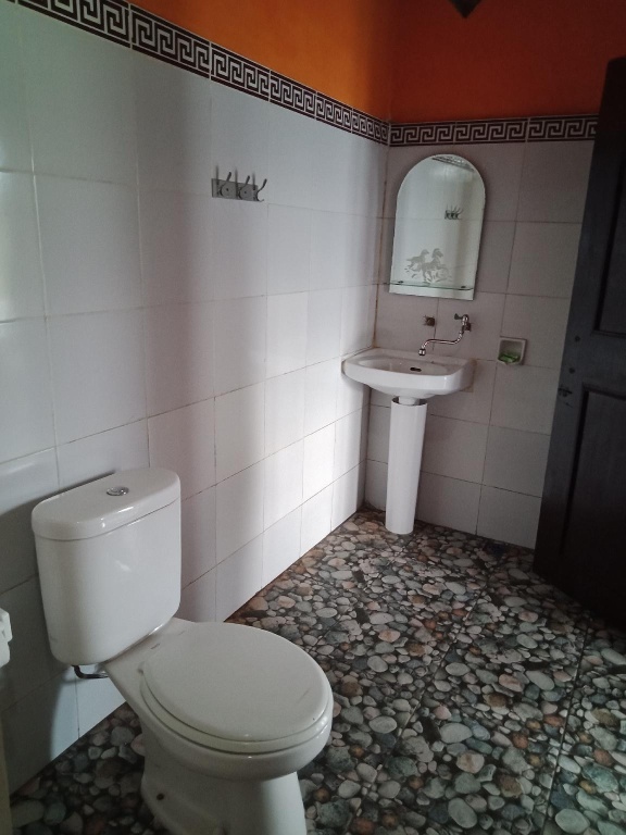 Standard Double room with lake view (full double bed)