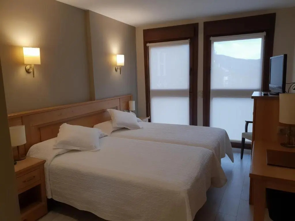 Standard Double room (twin beds)