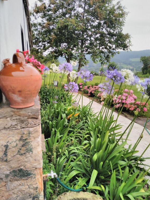 gallery_image_hidden_38