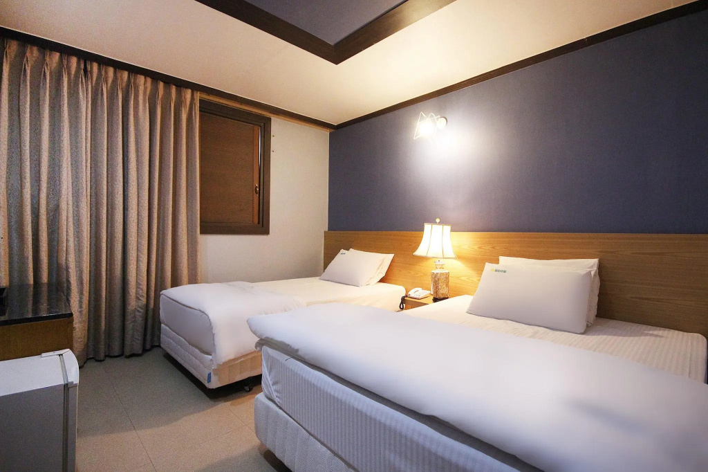 Standard Double room (twin beds)