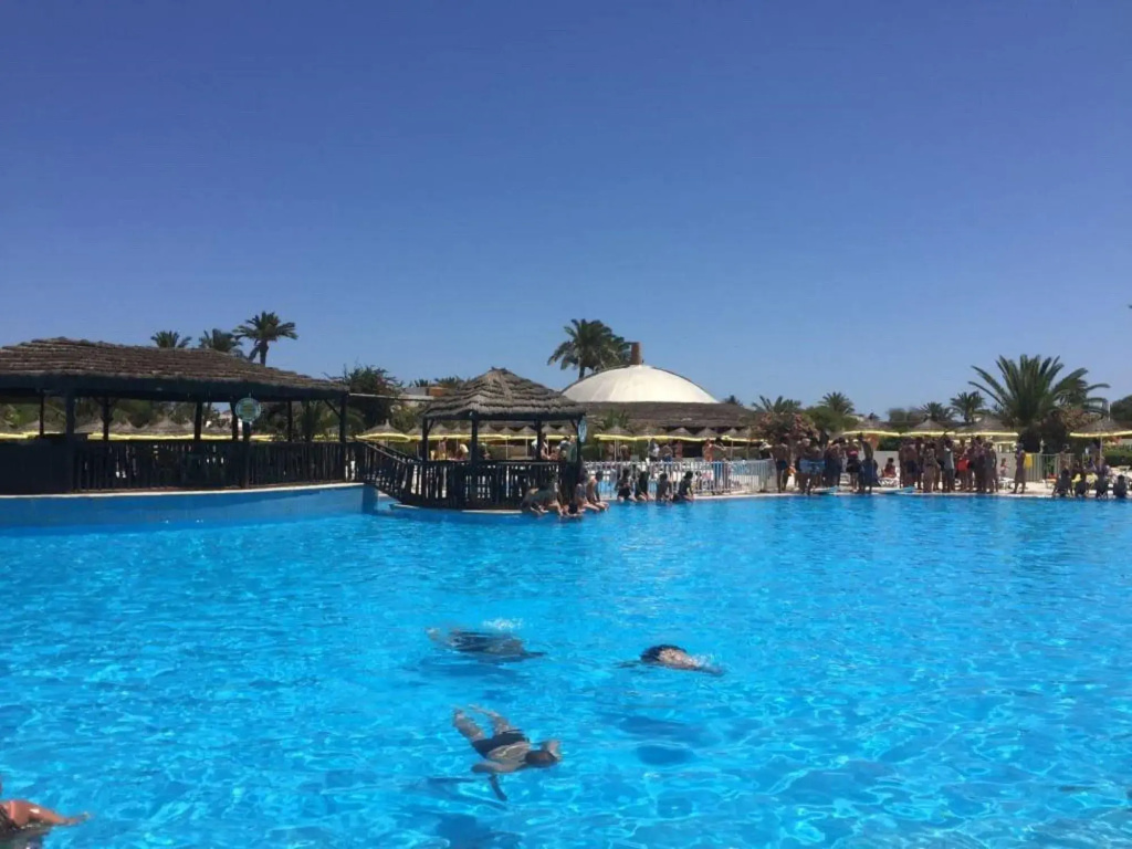 Djerba Sun Beach Hotel and Spa - Général