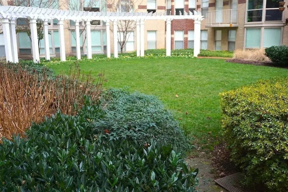 1br Furnished Apartment At Penn Quarter 1 Bedroom Apts