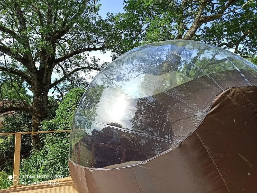 Les Bulles Perchées de Lartigue