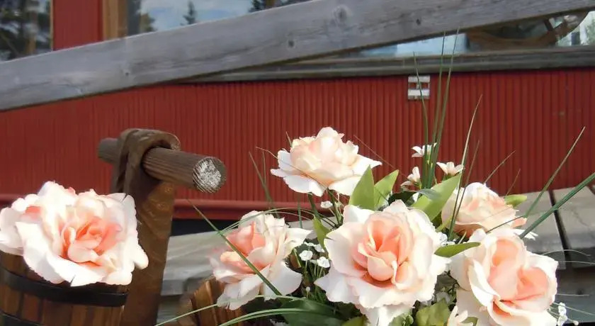 Wilderness Life in Arvidsjaur — фото 6